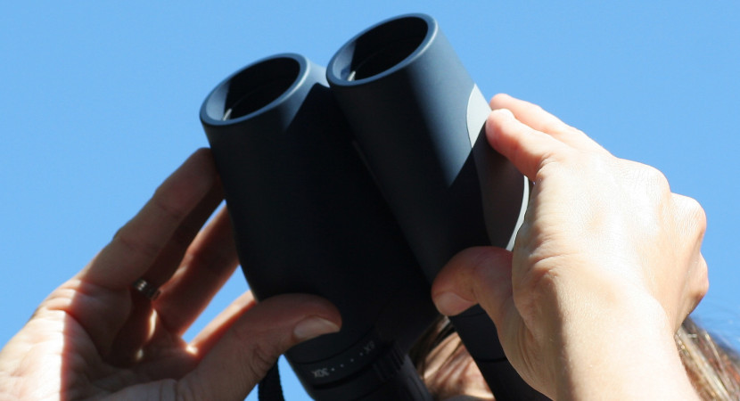 OnderwijsInzicht 2026 - Hét congres over digitalisering in het funderend onderwijs